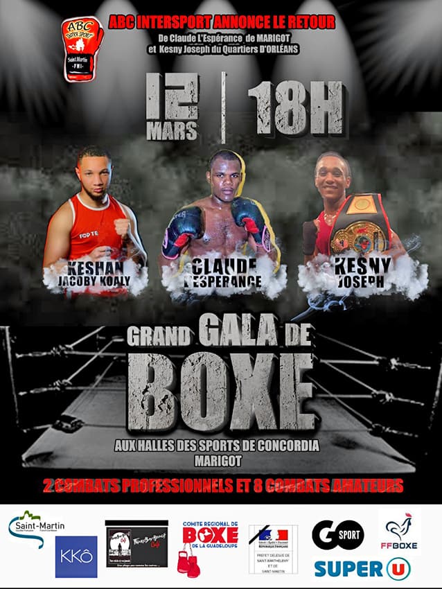 Boxe anglaise : Grand gala de boxe samedi prochain - Saint-Martin Breaking  News